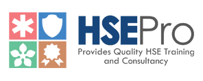 HSEpro Logo